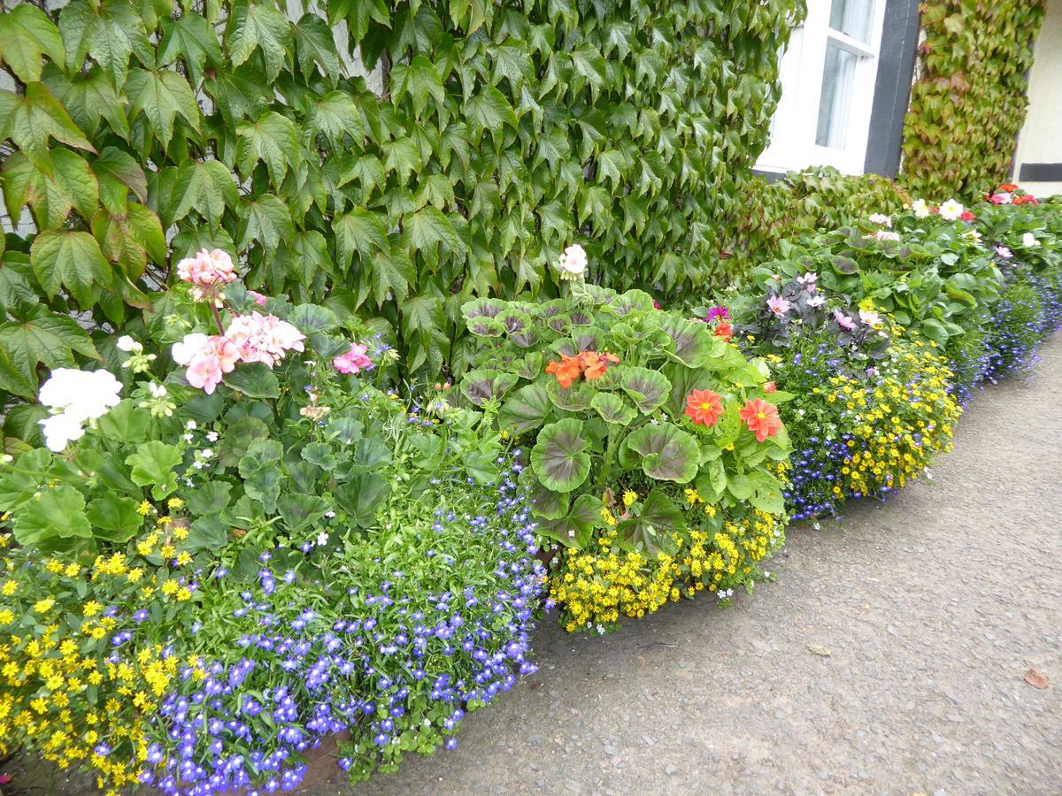 Marykirk Hotel Buitenkant foto